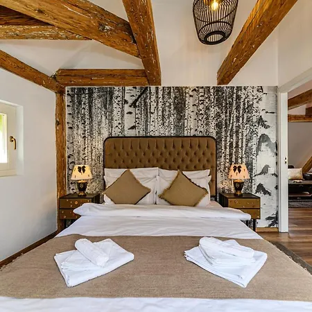 Historical Διαμέρισμα Μπρασόβ