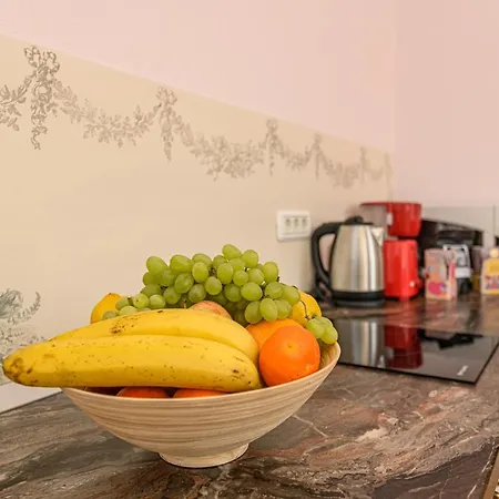 Historical Apartament *