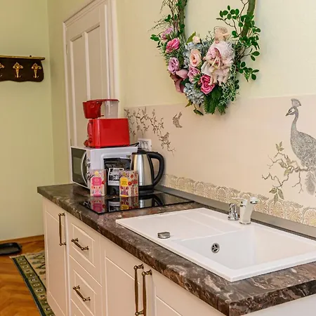 Historical Apartment Brasov