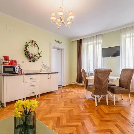 Historical Apartment Brasov