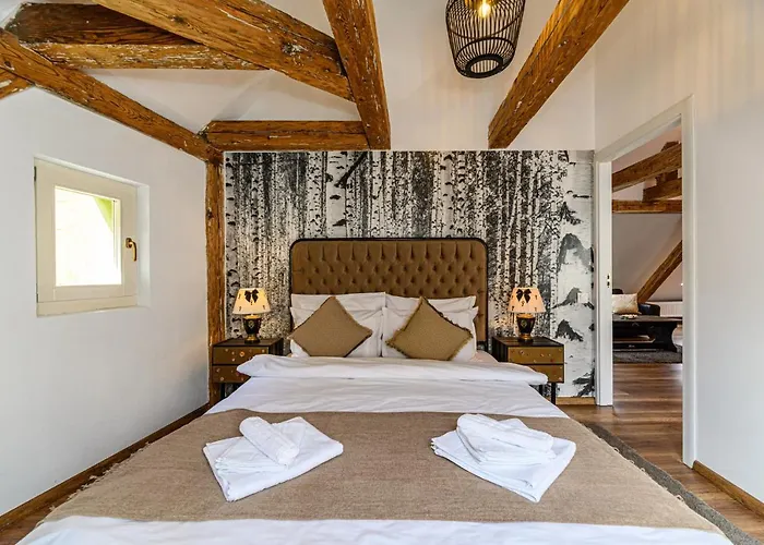 Historical Apartamento Braşov