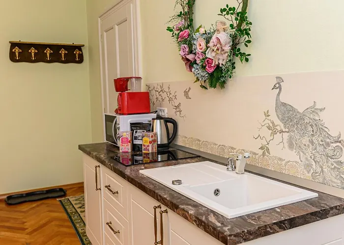 Historical Apartment Brasov